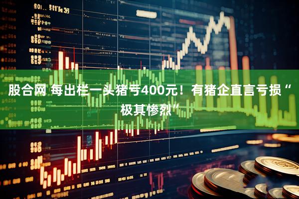股合网 每出栏一头猪亏400元！有猪企直言亏损“极其惨烈”