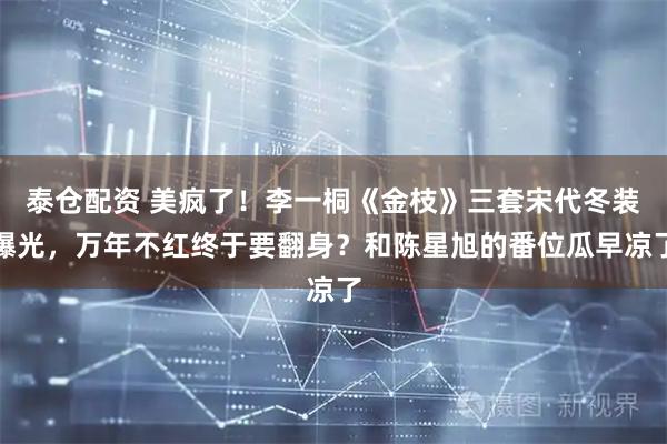 泰仓配资 美疯了！李一桐《金枝》三套宋代冬装曝光，万年不红终于要翻身？和陈星旭的番位瓜早凉了