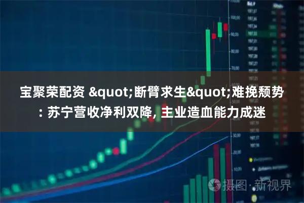 宝聚荣配资 "断臂求生"难挽颓势: 苏宁营收净利双降, 主业造血能力成迷
