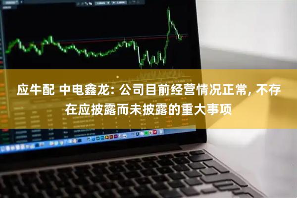 应牛配 中电鑫龙: 公司目前经营情况正常, 不存在应披露而未披露的重大事项